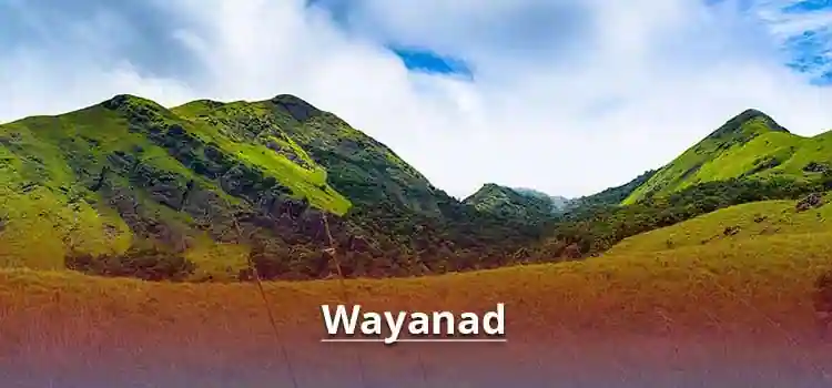 Wayanad